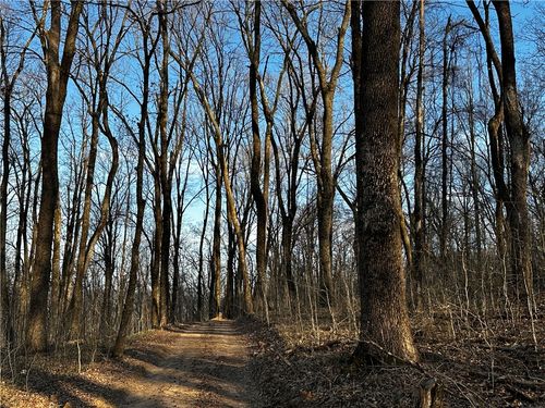 000 Madison 5153, St Paul, AR, 72760 | Card Image