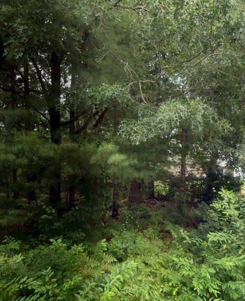 59 Park, Wareham, MA, 02538 | Card Image