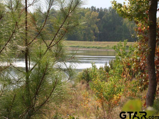 Land in Montalba