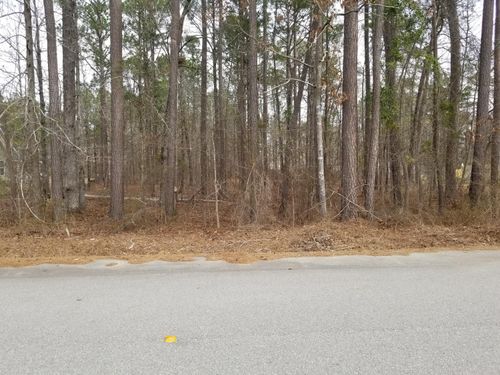 0 Sorin Cir, Elloree, SC, 29047 | Card Image