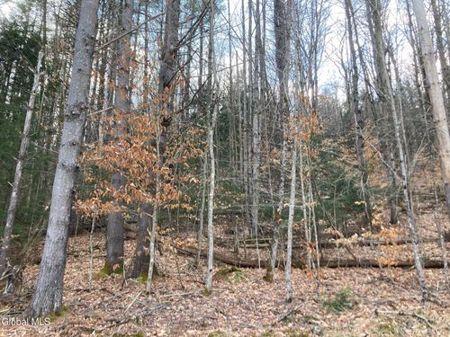 652 New Vermont Road, Bolton, NY, 12814 | Card Image