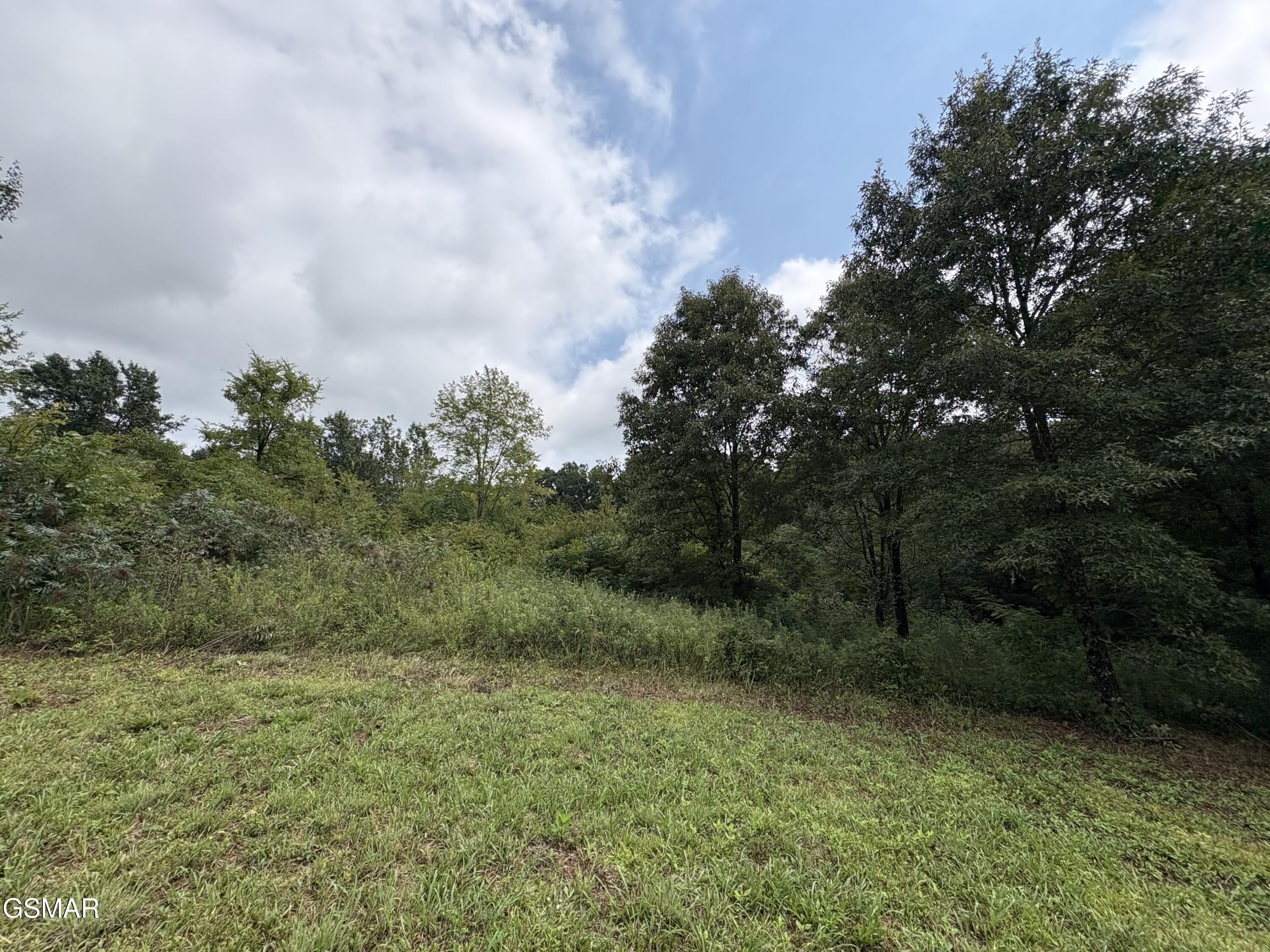 Land in Strawberry Plains