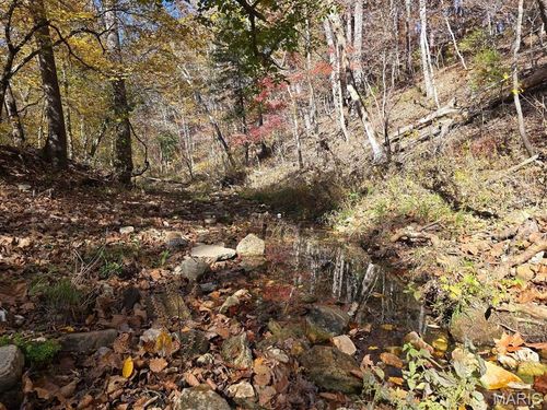 000 Mineral Dr, Houston, MO, 65483 | Card Image