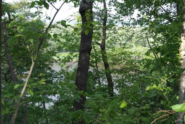Arkansaw Riverfront 050.JPG | Image 45