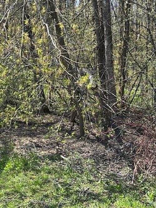 153 Courtland St, Ramara, ON, L3V | Card Image