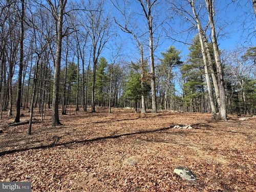 Lot 43 Rapids Point Trl, GREAT CACAPON, WV, 25422 | Card Image