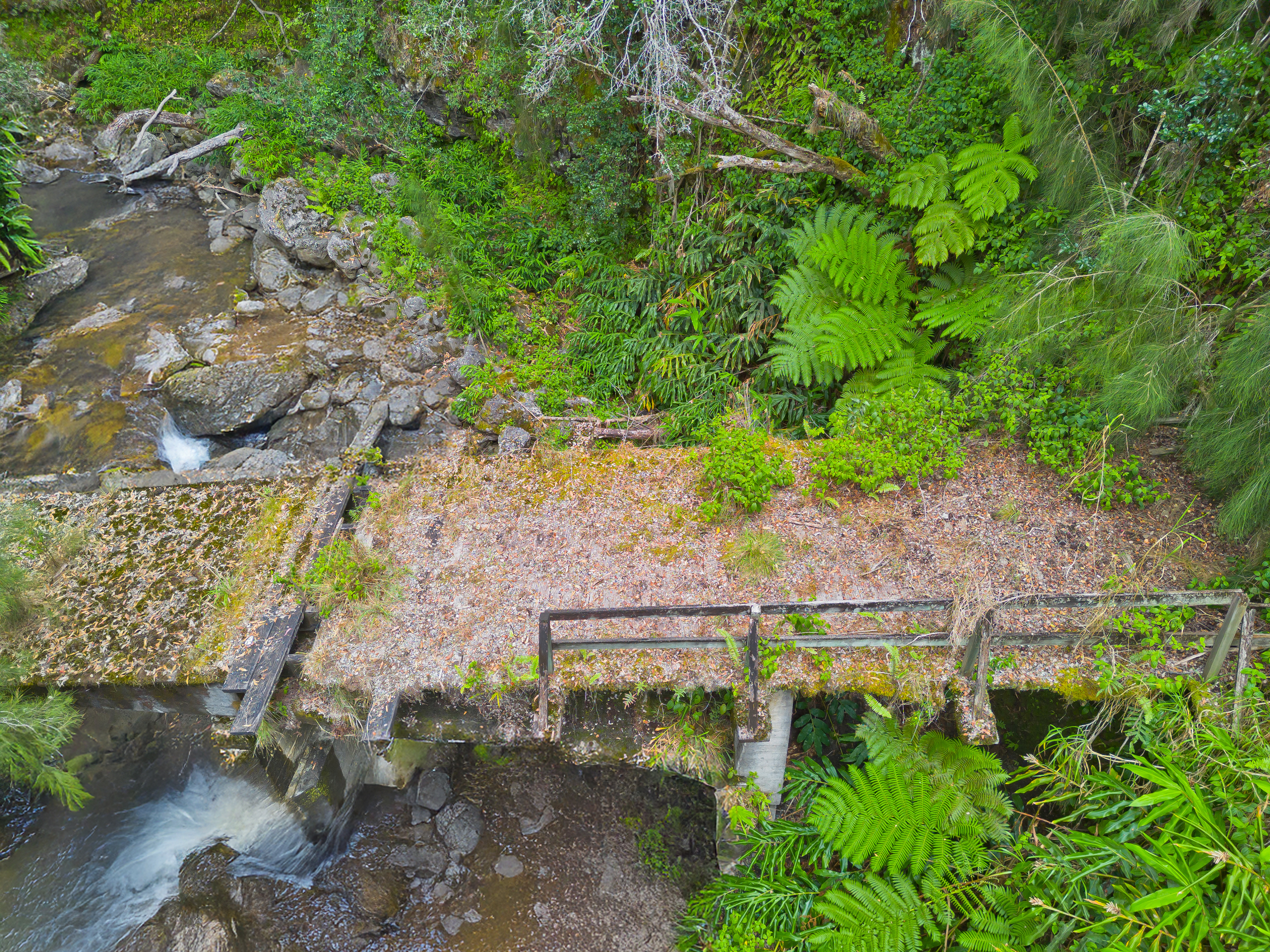 Land in Laupahoehoe 5
