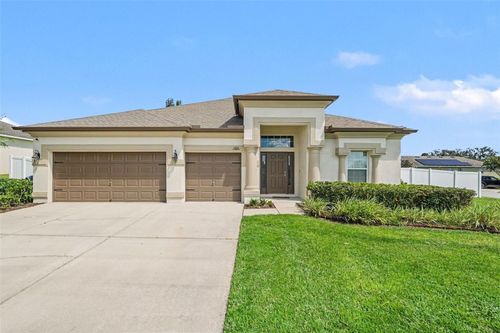 12324 Loopback Dr, SAN ANTONIO, FL, 33576-7153 | Card Image