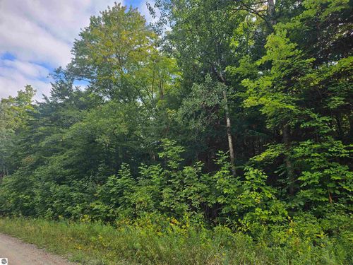 000 Riverview Rd, Mesick, MI, 49668 | Card Image