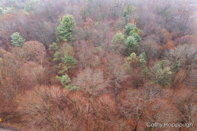 PARCEL-1 - V/L W Snows Lake Road, Home with 0 bedrooms, 0 bathrooms and null parking in Fenwick MI | Image 25