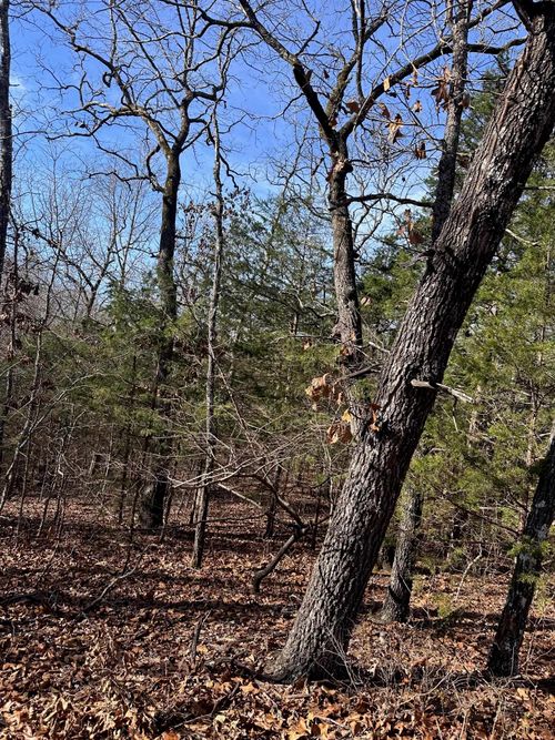 0 Chippewa Dr, Cherokee Village, AR, 72529 | Card Image