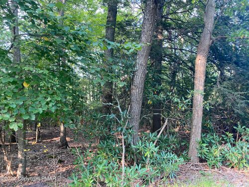 Lot 3 T 561, Cresco, PA, 18326 | Card Image