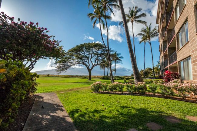 APT-301 - 938 S Kihei Rd, Condo with 1 bedrooms, 1 bathrooms and null parking in Kihei HI | Image 14