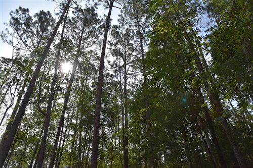 4050 Als Satch Rd, Middleburg, FL, 32068-4400 | Card Image