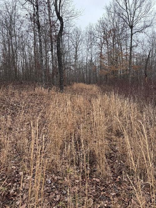 0 Old Highway 13, Hurricane Mills, TN, 37078 | Card Image