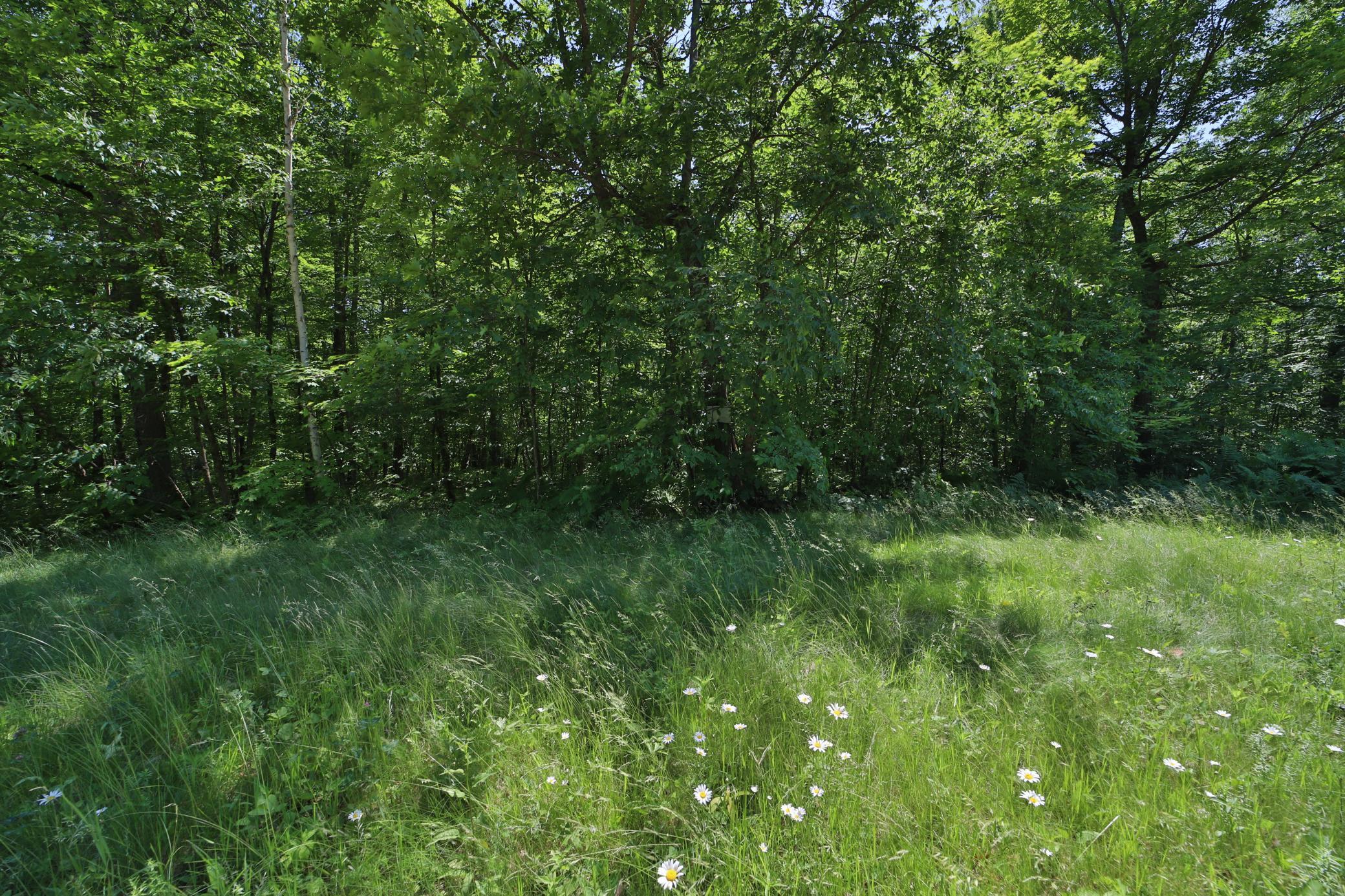 Land in Crosby 5