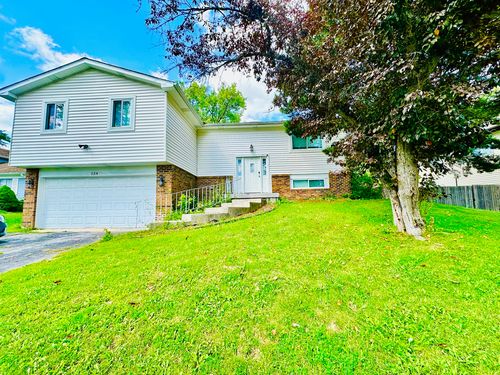 124 Oriole Rd, Matteson, IL, 60443-1017 | Card Image