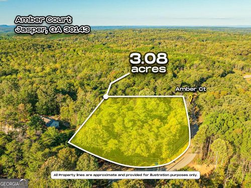 0 Amber Ct, Jasper, GA, 30143 | Card Image