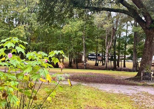 0 Catfish Ct, Ridgeville, SC, 29472 | Card Image