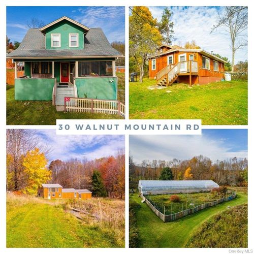 30 Walnut Mountain Rd, Liberty, NY, 12754-2900 | Card Image