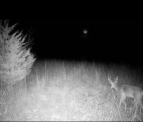 36707 Spring Valley Rd, Louisburg, KS, 66053 | Card Image