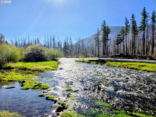 52912 Mckenzie Hwy, BlueRiver, OR, 97413 | Card Image