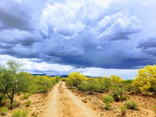 231-16370 W Renner Ave, Tucson, AZ, 85736 | Card Image