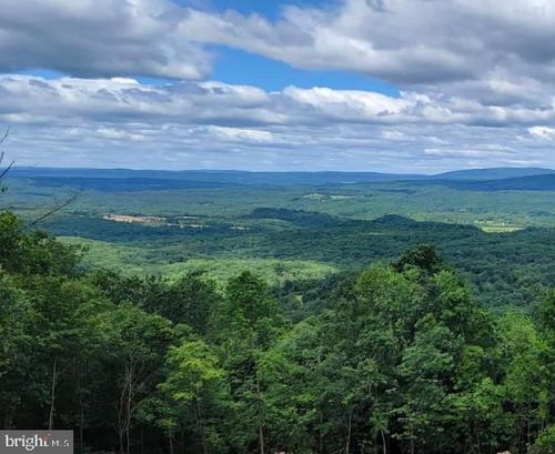 Lot 69/70 Driftwood Dr, GERRARDSTOWN, WV, 25420 | Card Image