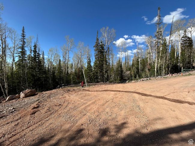 View of nature | Image 46
