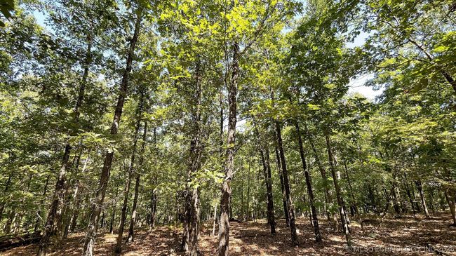 492 Deer Creek Rd, Home with 0 bedrooms, 0 bathrooms and null parking in Kansas OK | Image 8