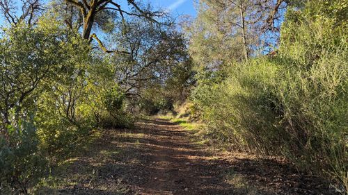 3315 Filmore Street, Nice, CA, 95464 | Card Image