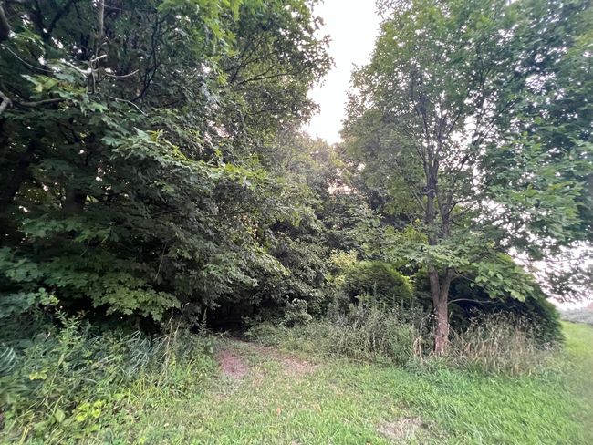 0 Norton Road, Home with 0 bedrooms, 0 bathrooms and null parking in Radnor OH | Image 36