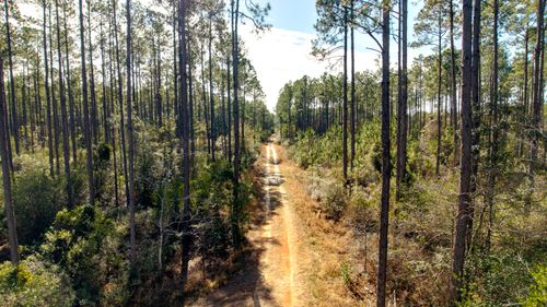 TBD Freeport Vlg, Freeport, FL, 32439 | Card Image