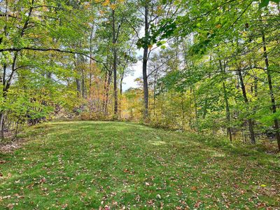 Grassy level space within the wooded 5 acre lot.jpg | Image 3