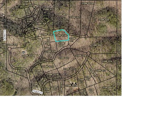 0 Peach Lane, Cherry Log, GA, 30522 | Card Image
