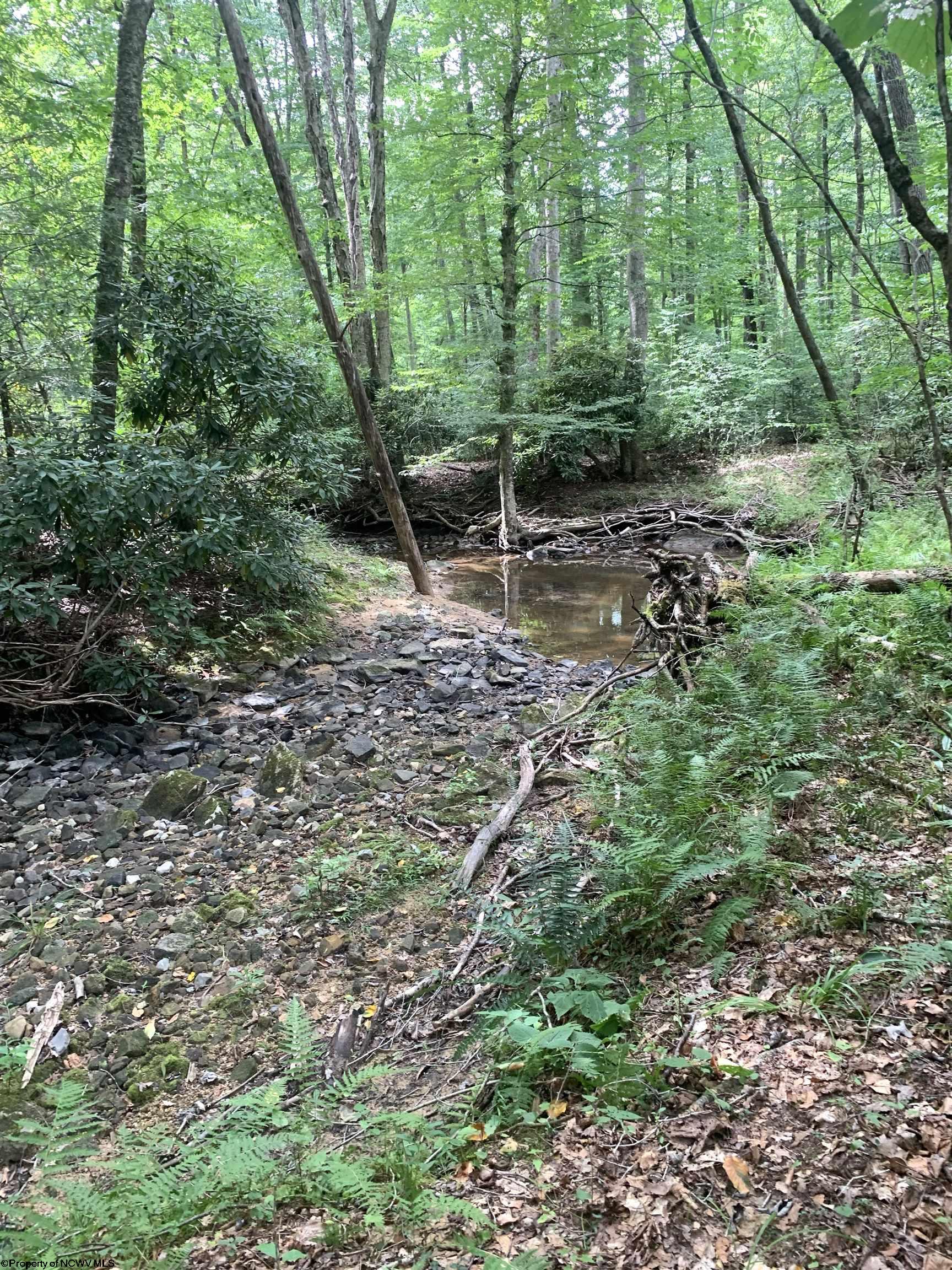 Land in Belington 2