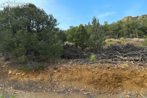 2973 Driftwood Rd, Westcliffe, CO, 81252 | Card Image