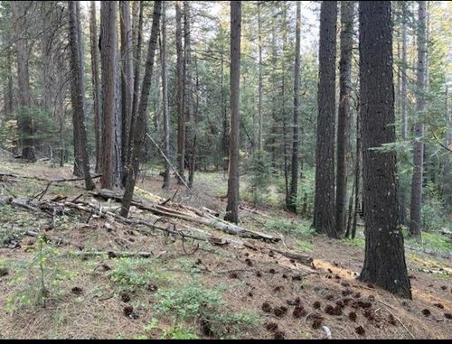 30115 N Bloomfield-Graniteville Rd, Nevada City, CA, 95959 | Card Image