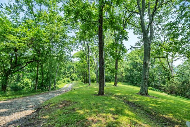 more than a half mile private drive meanders up the hill to the house , offering peace, privacy and natural beauty | Image 10