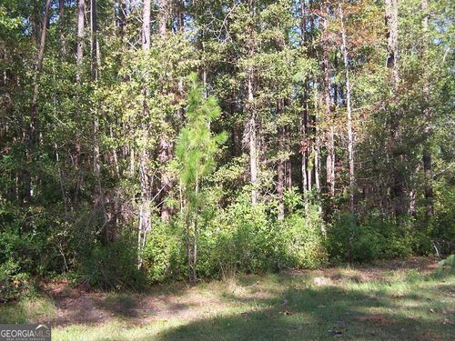 0 Plantation Trail, Statesboro, GA, 30458 | Card Image