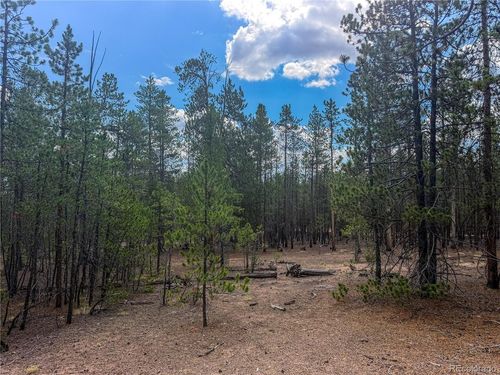 569 Birch Dr, Leadville, CO, 80461 | Card Image