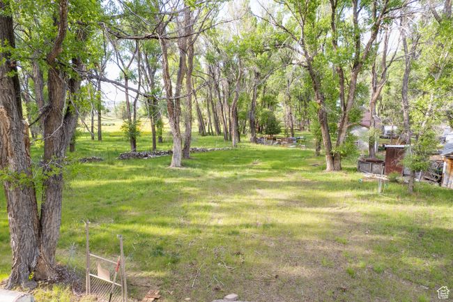 View of grassy yard | Image 36