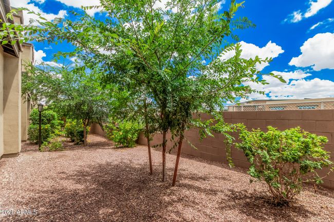 137 - 3900 E Baseline Rd, Townhouse with 3 bedrooms, 3 bathrooms and null parking in Phoenix AZ | Image 33