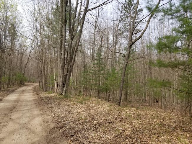15 W 12 Mile Rd, Home with 0 bedrooms, 0 bathrooms and null parking in Irons MI | Image 9