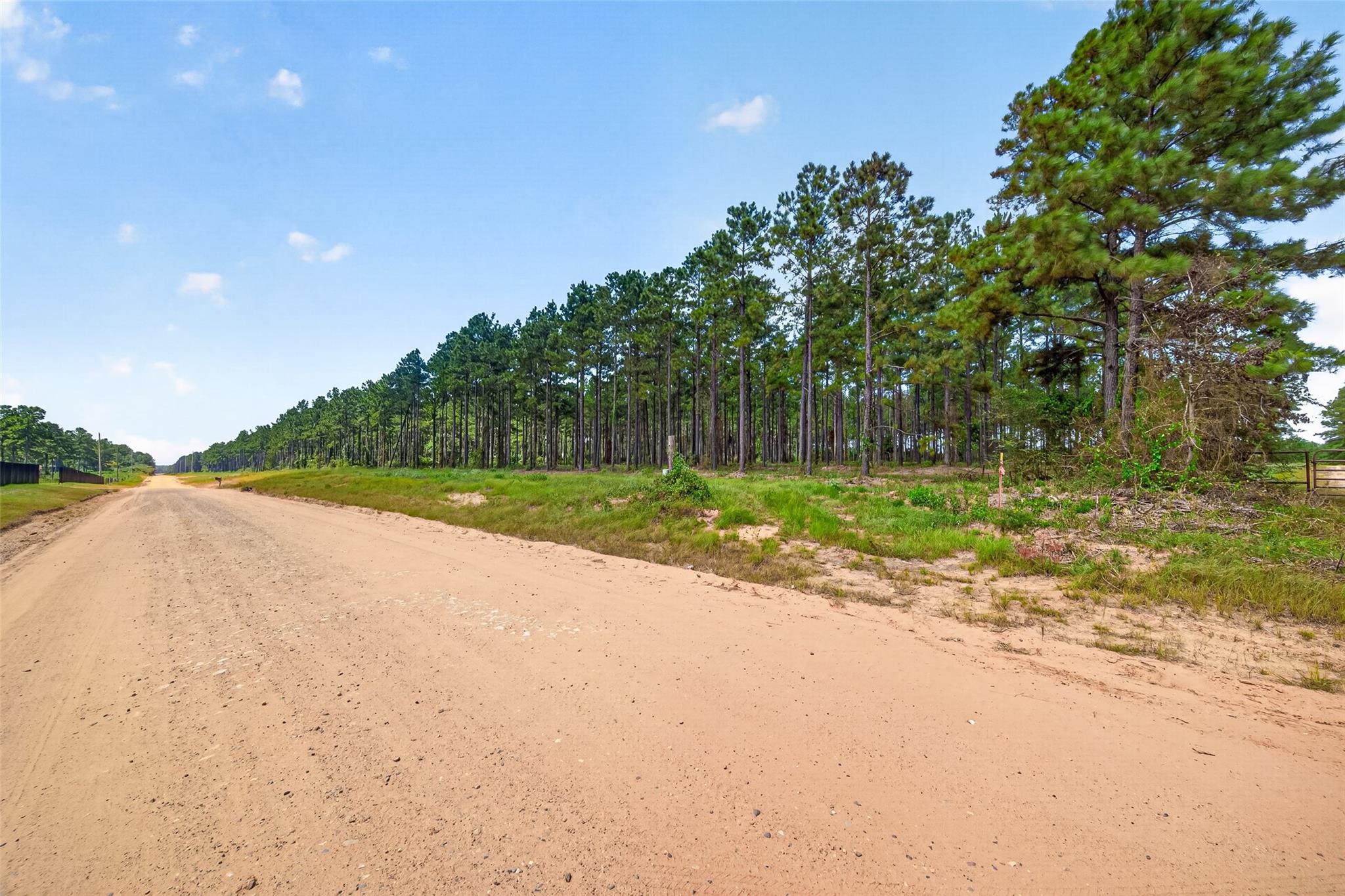Land in Livingston 4