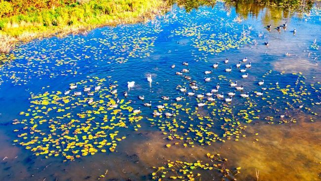DJI_0256_hdr.jpg | Image 7