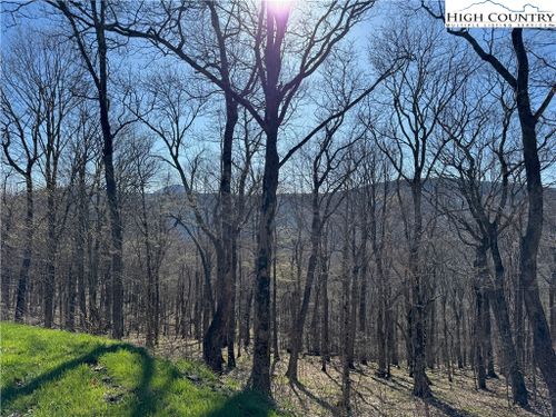 Lot 98 Elk Creek Mountain Parkway, Todd, NC, 28684 | Card Image