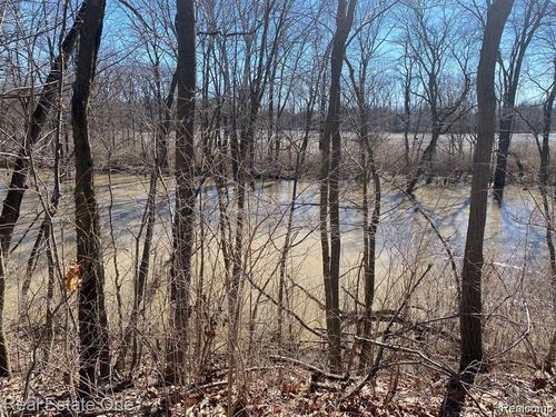 Vacant Stowell Road, Dundee Township, MI, 48131 | Card Image