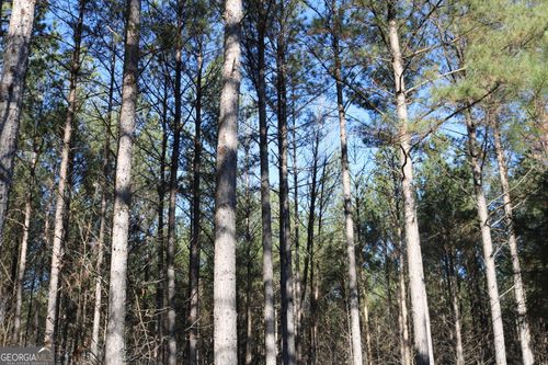 0 Iron Hill Rd, Taylorsville, GA, 30178 | Card Image