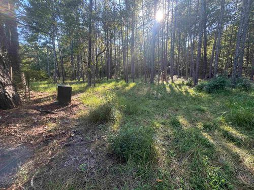 lots-19-20-019 Dagger, Brookeland, TX, 75931 | Card Image